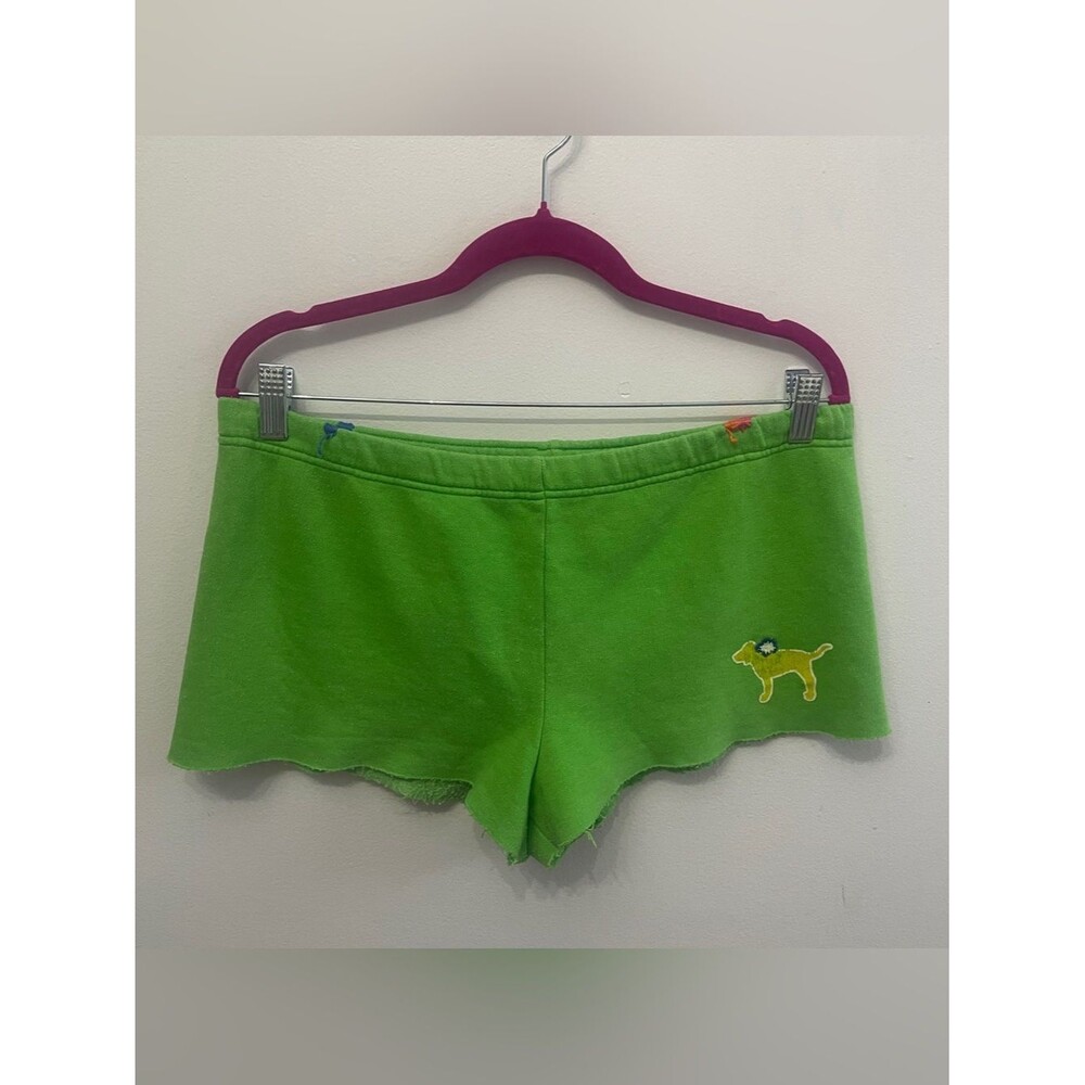 Y2K VS PINK Lime Lowerise Shorts Embroidered Flowers Dog Pink Logo in the Back